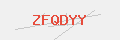 Auth Code