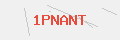 Auth Code