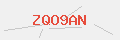 Auth Code