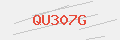Auth Code