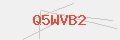 Auth Code