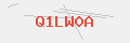Auth Code