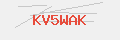 Auth Code